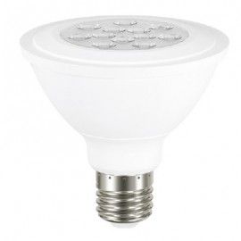 PAR 30 LED 12W